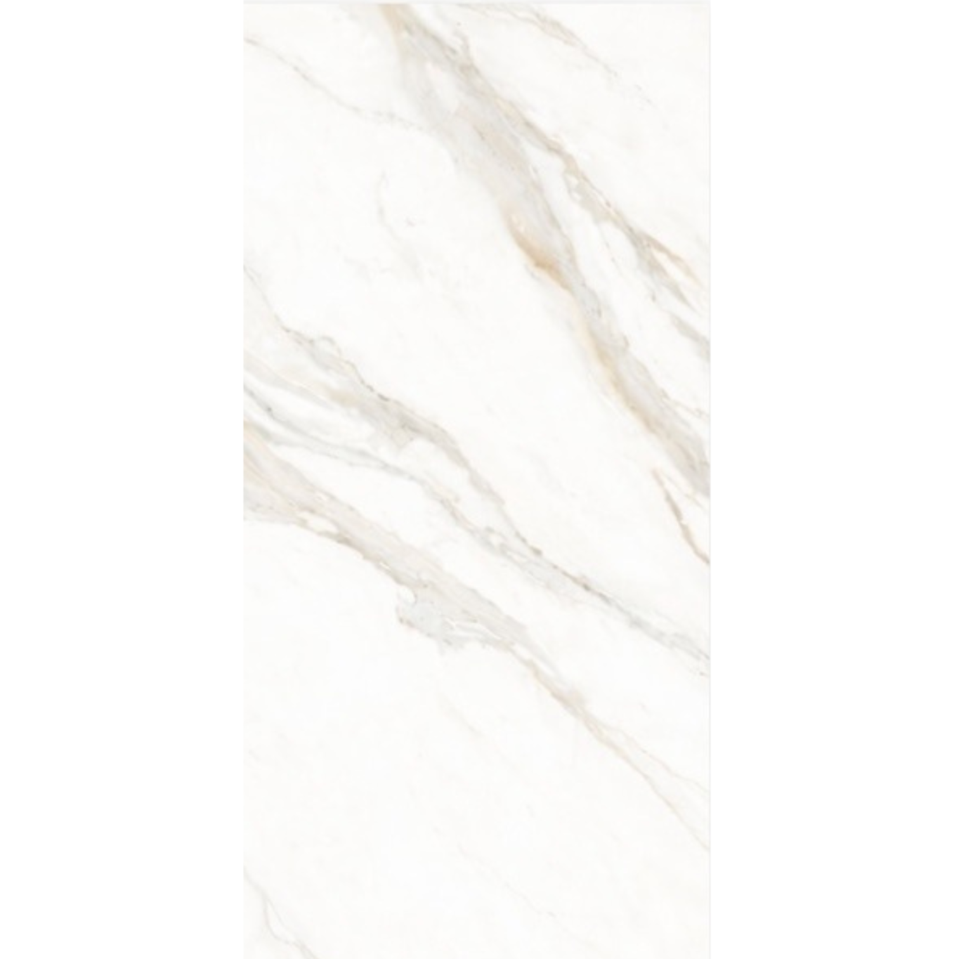 PORCELANATO CARRARA GOLD PULIDO  60x120 CM - $380/M2