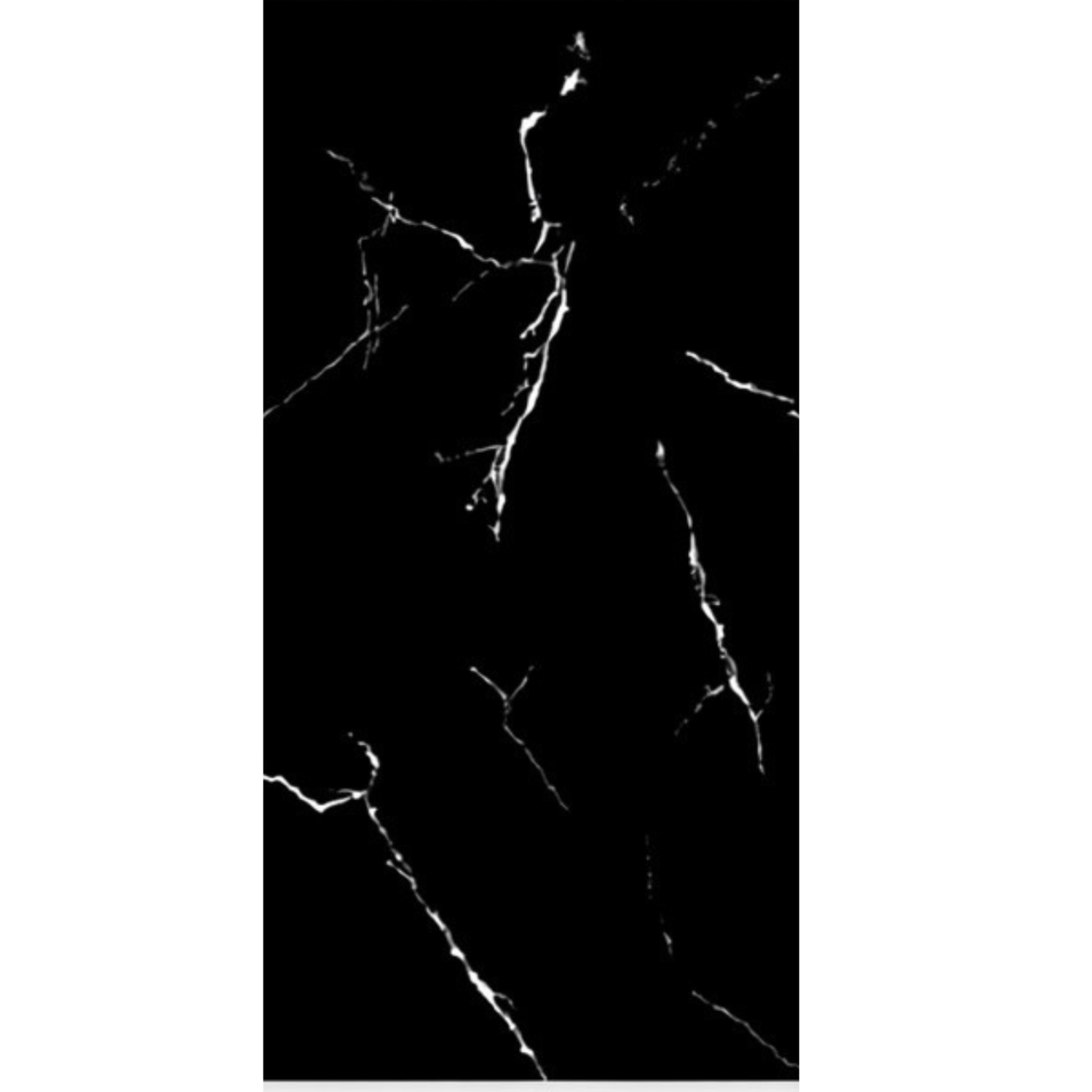 PORCELANATO SARA PULIDO 60x120 CM - $450/M2